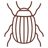 Safe Pest Management Icon