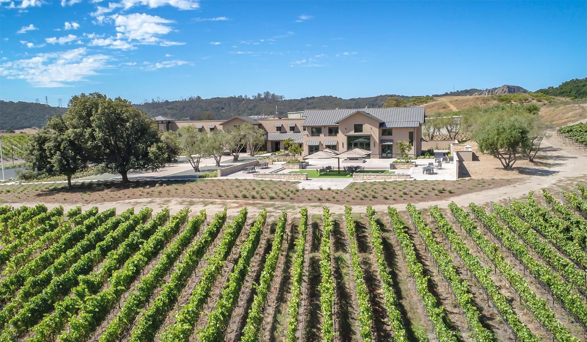 Sustainable Vineyard Tour