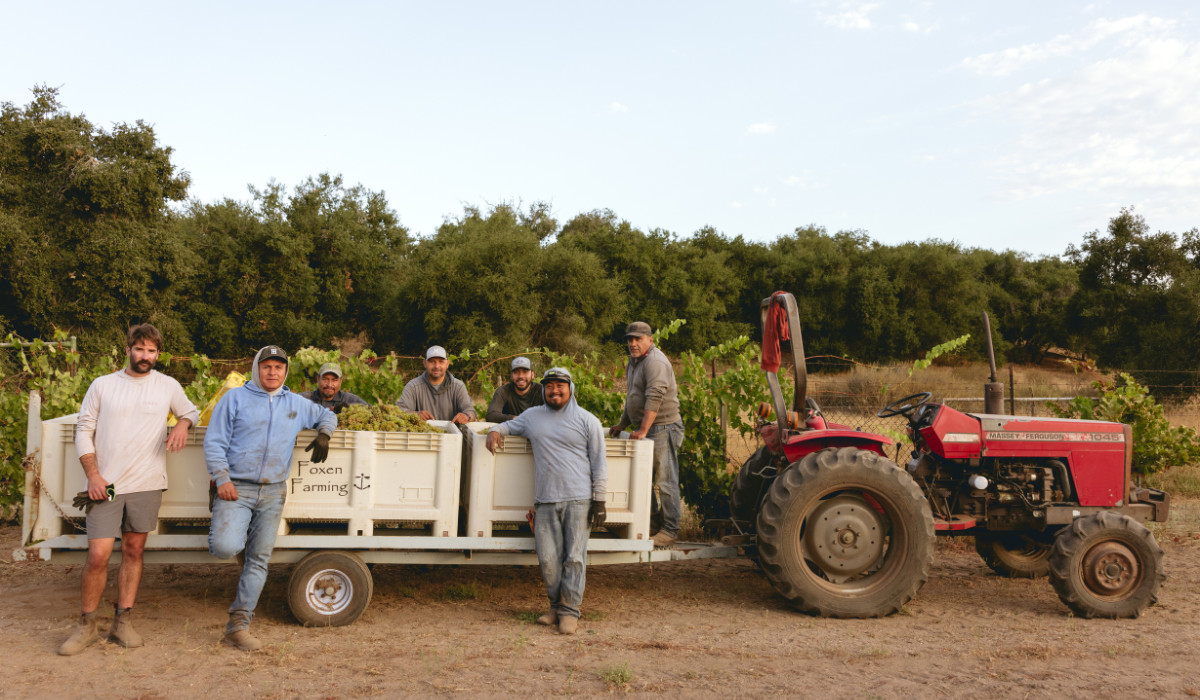 Sustainable Vineyard Tour