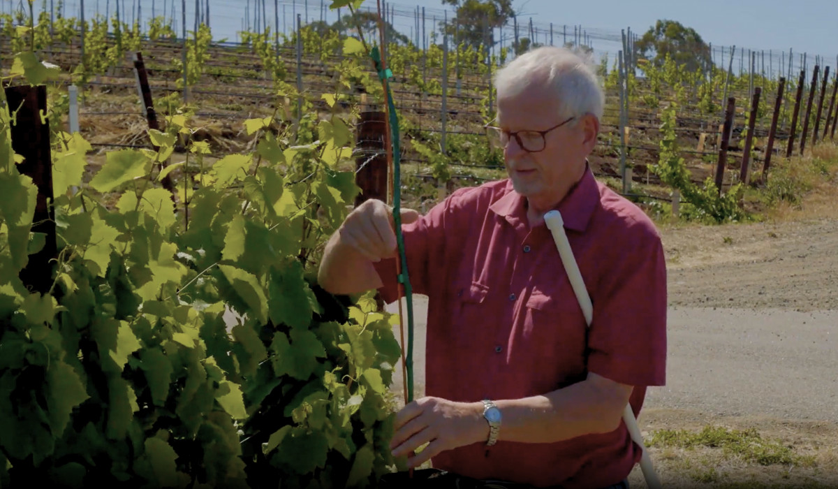 Sustainable Vineyard Tour