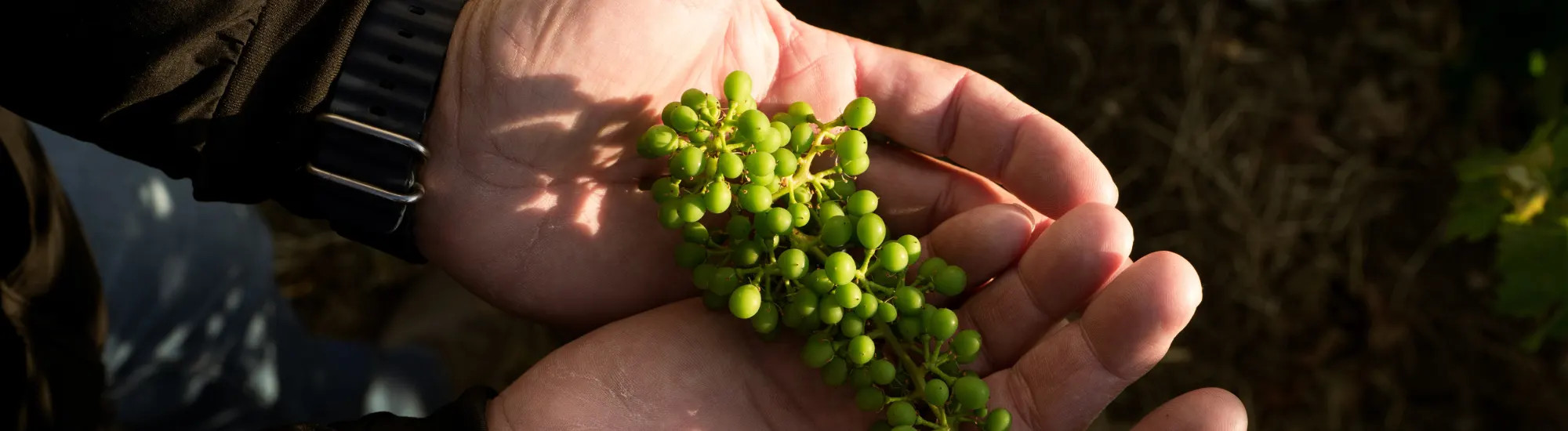 Real Stories, Real Impact